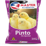 pinto do quintal